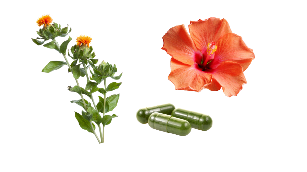 carthamus & hibiscus